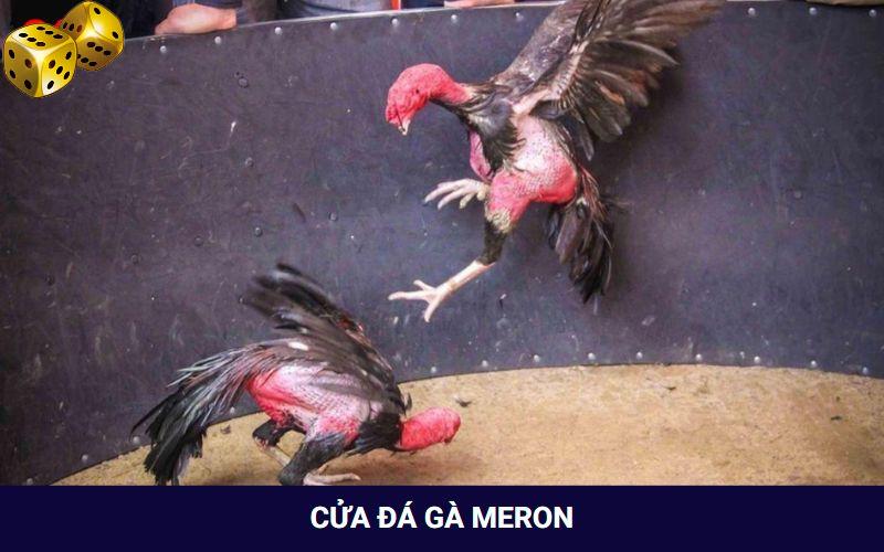 Đá Gà Go8 - Thỏa Mãn Với Các Trận Đối Đầu Của Chiến Kê - FARON