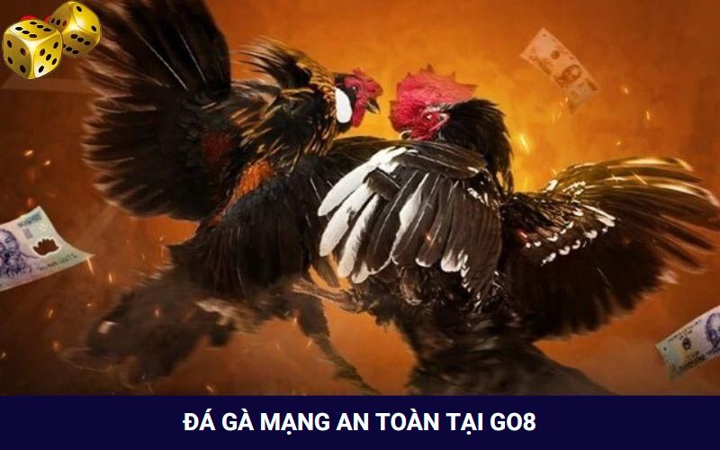 Đá Gà Mạng Là Gì? Tham Gia Chơi Có Bị Rủi Ro Hay Không? - FARON