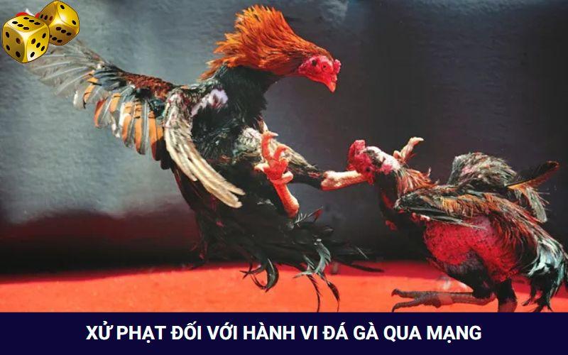 Đá Gà Mạng Là Gì? Tham Gia Chơi Có Bị Rủi Ro Hay Không? - FARON