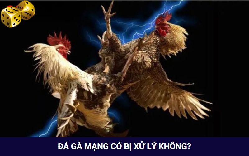 Đá Gà Mạng Là Gì? Tham Gia Chơi Có Bị Rủi Ro Hay Không? - FARON