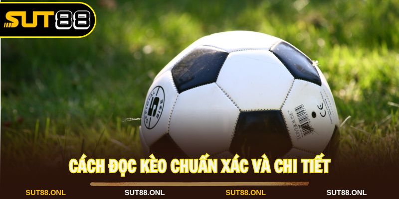 Kèo Châu Á: Khám Phá Hình Thức Cược Đặc Sắc Tại Sut88 2026 - faron.website - FARON