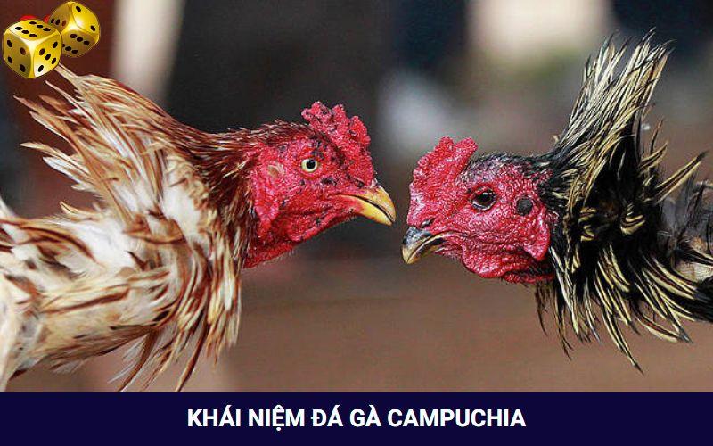 Hình Thức Đá Gà Campuchia Thưởng “Khủng” Tại Nhà Cái Go8 - FARON