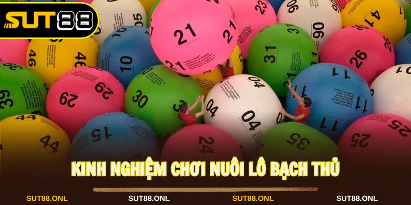 Nuôi Lô Bạch Thủ: Cách Chơi An Toàn Hiệu Quả Cùng Sut88 - faron.website - FARON