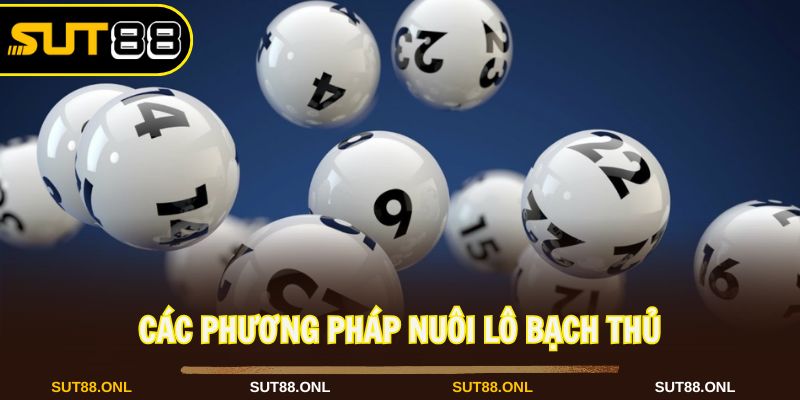 Nuôi Lô Bạch Thủ: Cách Chơi An Toàn Hiệu Quả Cùng Sut88 - faron.website - FARON