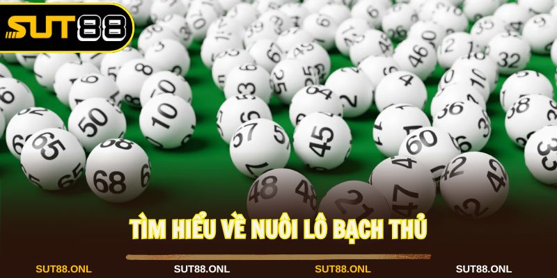 Nuôi Lô Bạch Thủ: Cách Chơi An Toàn Hiệu Quả Cùng Sut88 - faron.website - FARON
