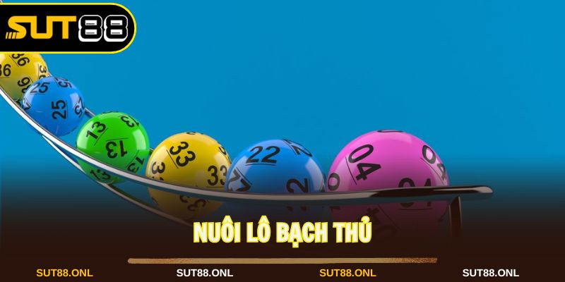 Lưu trữ Xổ Số Sut88: Sân Chơi Quay Thưởng Hấp Dẫn Và Đa Dạng 2026 - faron.website - FARON