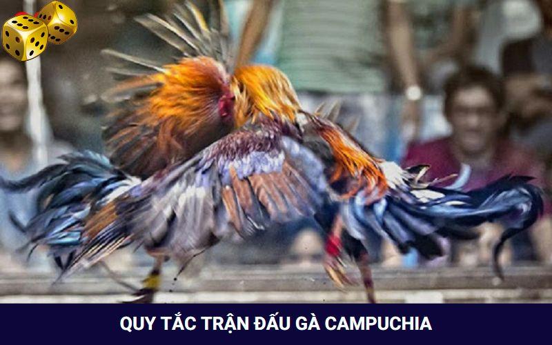 Hình Thức Đá Gà Campuchia Thưởng “Khủng” Tại Nhà Cái Go8 - FARON