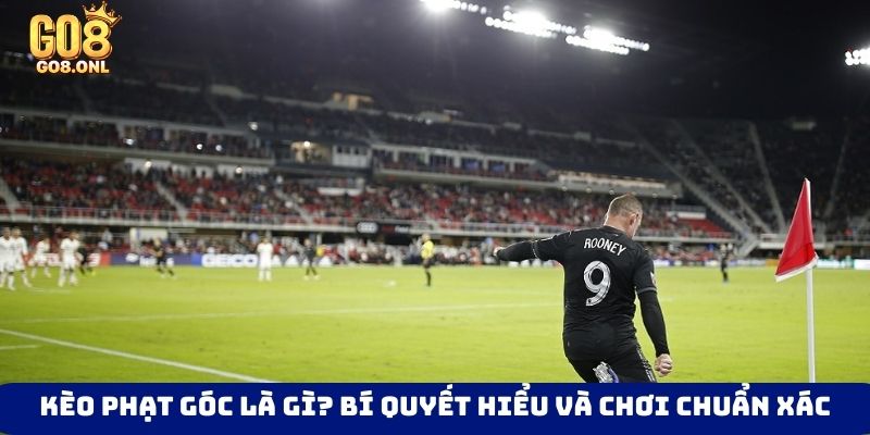 Thể Thao Go8 - Trải Nghiệm Đỉnh Cao Với Giải Đấu Lớn - FARON