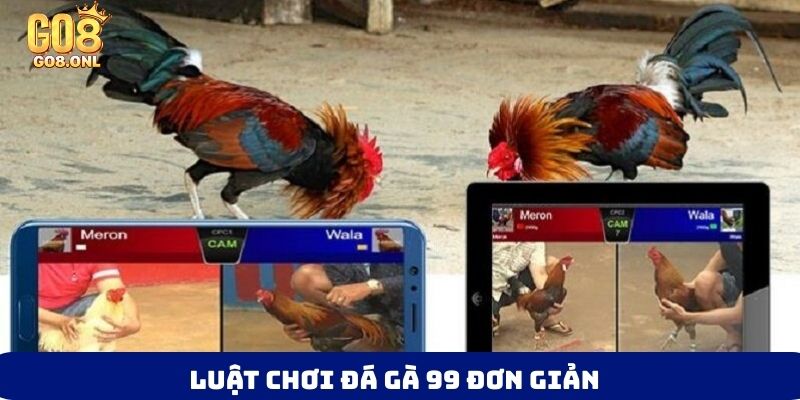 Đá Gà 99 Là Gì? Bí Mật Thu Hút Người Chơi Muốn Khám Phá - FARON