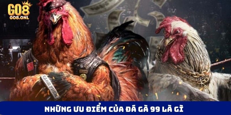 Đá Gà 99 Là Gì? Bí Mật Thu Hút Người Chơi Muốn Khám Phá - FARON