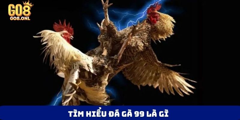 Đá Gà 99 Là Gì? Bí Mật Thu Hút Người Chơi Muốn Khám Phá - FARON