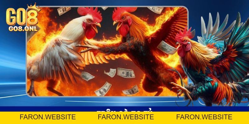 Đá Gà Go8 - Thỏa Mãn Với Các Trận Đối Đầu Của Chiến Kê - FARON