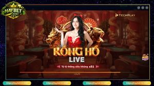 Live Casino HayBet Cá Cược Đẳng Cấp Trải Nghiệm Mượt Mà - FARON