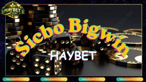 Live Casino HayBet Cá Cược Đẳng Cấp Trải Nghiệm Mượt Mà - FARON