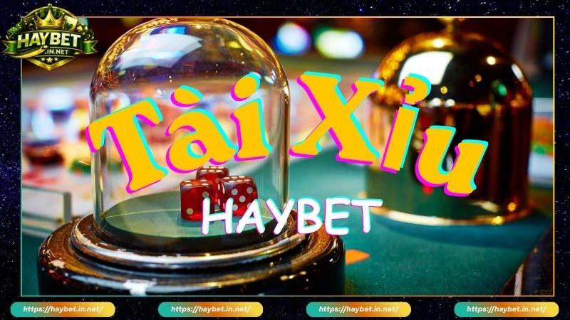 Choi Tài Xỉu Live HayBet Cược Trực Tiếp Với Dealer Xinh Đẹp - FARON
