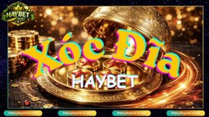 Live Casino HayBet Cá Cược Đẳng Cấp Trải Nghiệm Mượt Mà - FARON