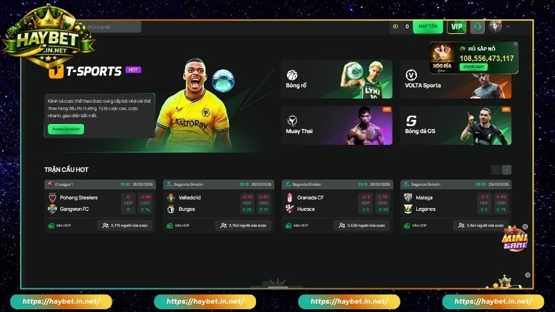 T Sports Cược Thể Thao Đình Đám Nhiều Kèo Hay Trên Haybet - FARON