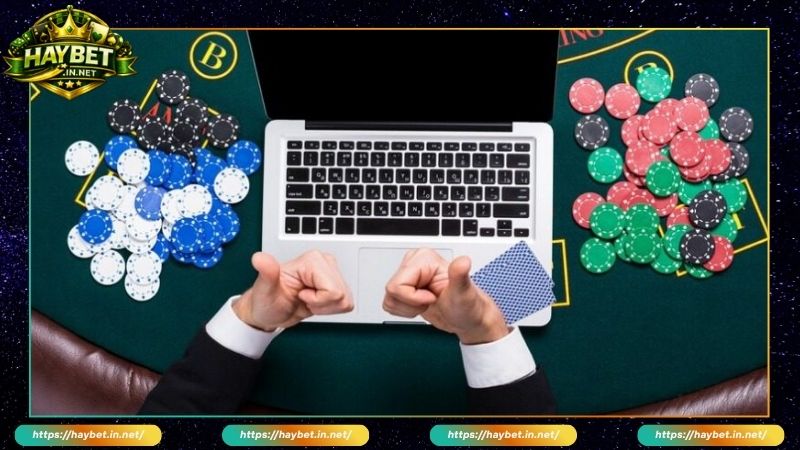 Nhà Cái HayBet Bảo Trì Vì Lý Do Gì? Lưu Ý Khi Tham Gia - FARON
