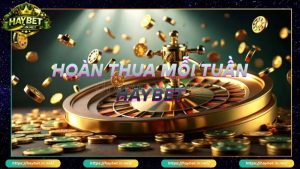 Khuyến Mãi Haybet Nâng Tầm Trải Nghiệm Cá Cược Cho Bet Thủ - FARON