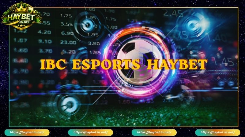 IBC Sports Sảnh Cược Thể Thao Tiêu Chuẩn Quốc Tế Tại HAYBET - FARON