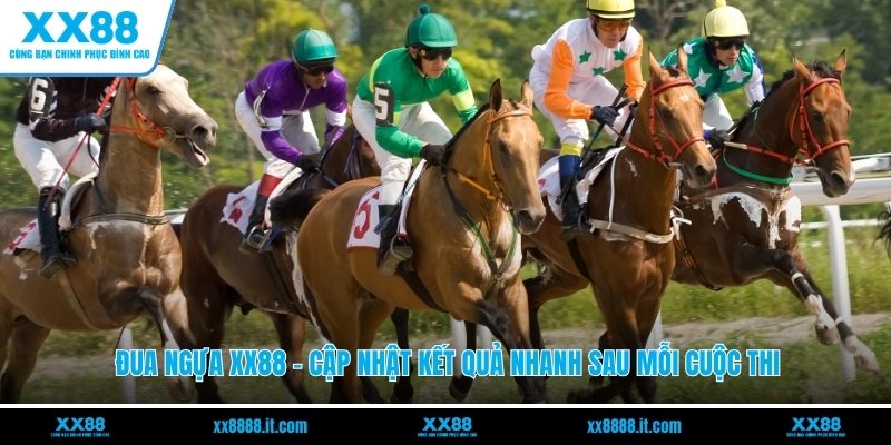 Đua Ngựa XX88 - Cập Nhật Kết Quả Nhanh Sau Mỗi Cuộc Thi - FARON